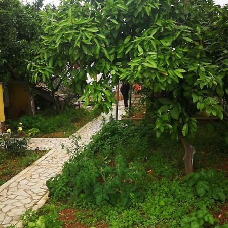 Apartment Dalmatini Tar-Vabriga Kültér fotó